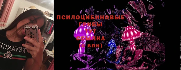 крисы Бугульма