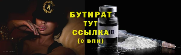 2c-b Бородино