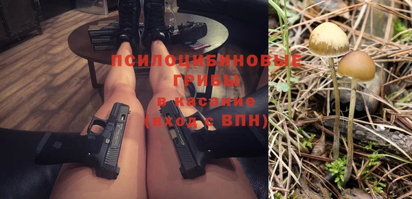 2c-b Бородино