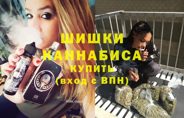крисы Бугульма