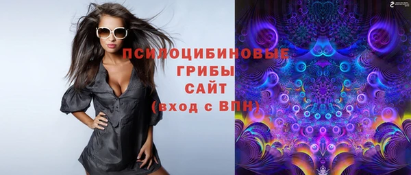 2c-b Бородино