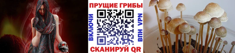 hydra   Отрадная  Галлюциногенные грибы GOLDEN TEACHER 